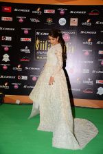 Malaika Arora Khan at IIFA 2015 Awards day 3 red carpet on 7th June 2015